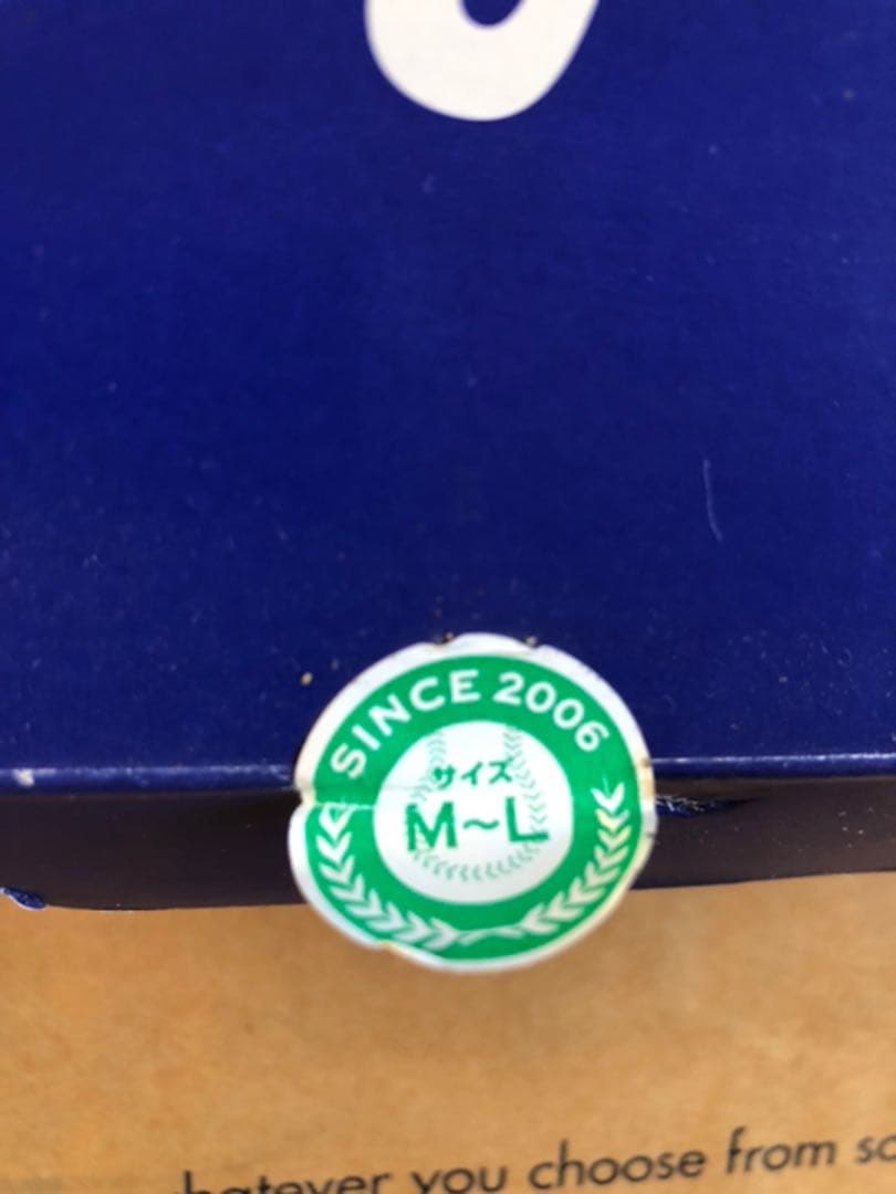 中日ドラゴンズ】公式ファンクラブ 初年度（2006）メッシュ