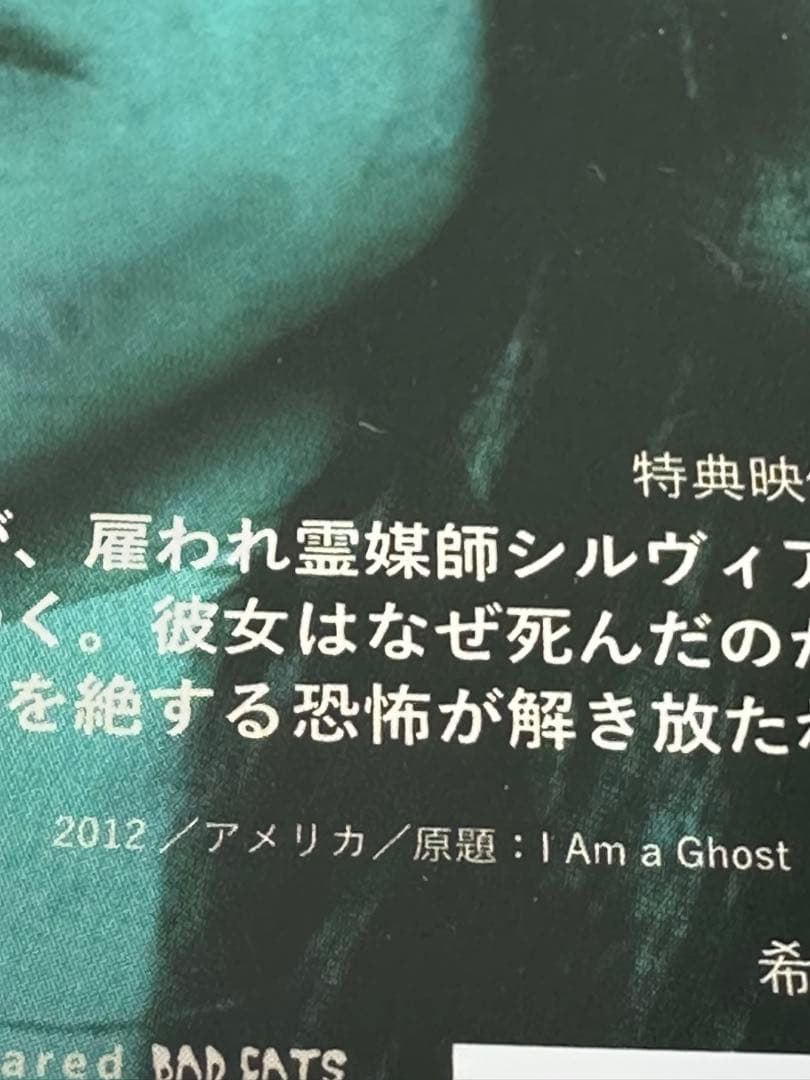 私はゴースト('12米)