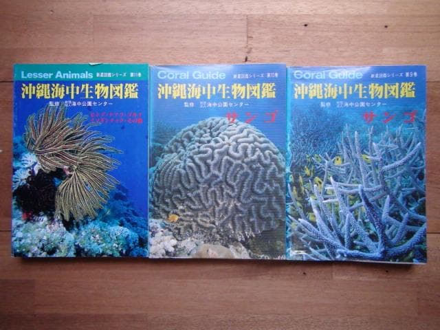 沖縄海中生物図鑑 全11巻 セット