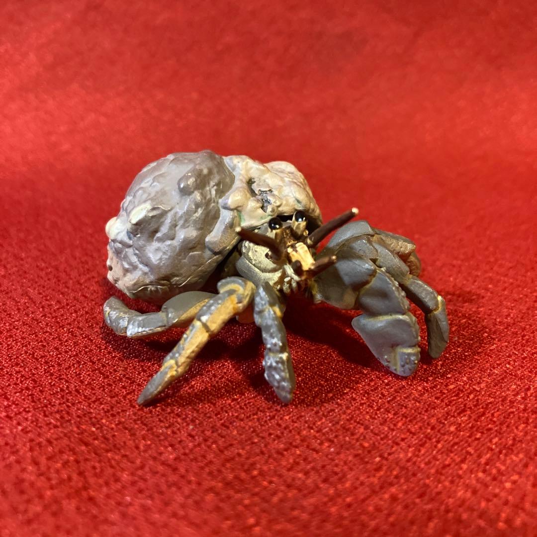 エポック社 地球生命紀行 蟹・海老 オカヤドカリ - メルカリ