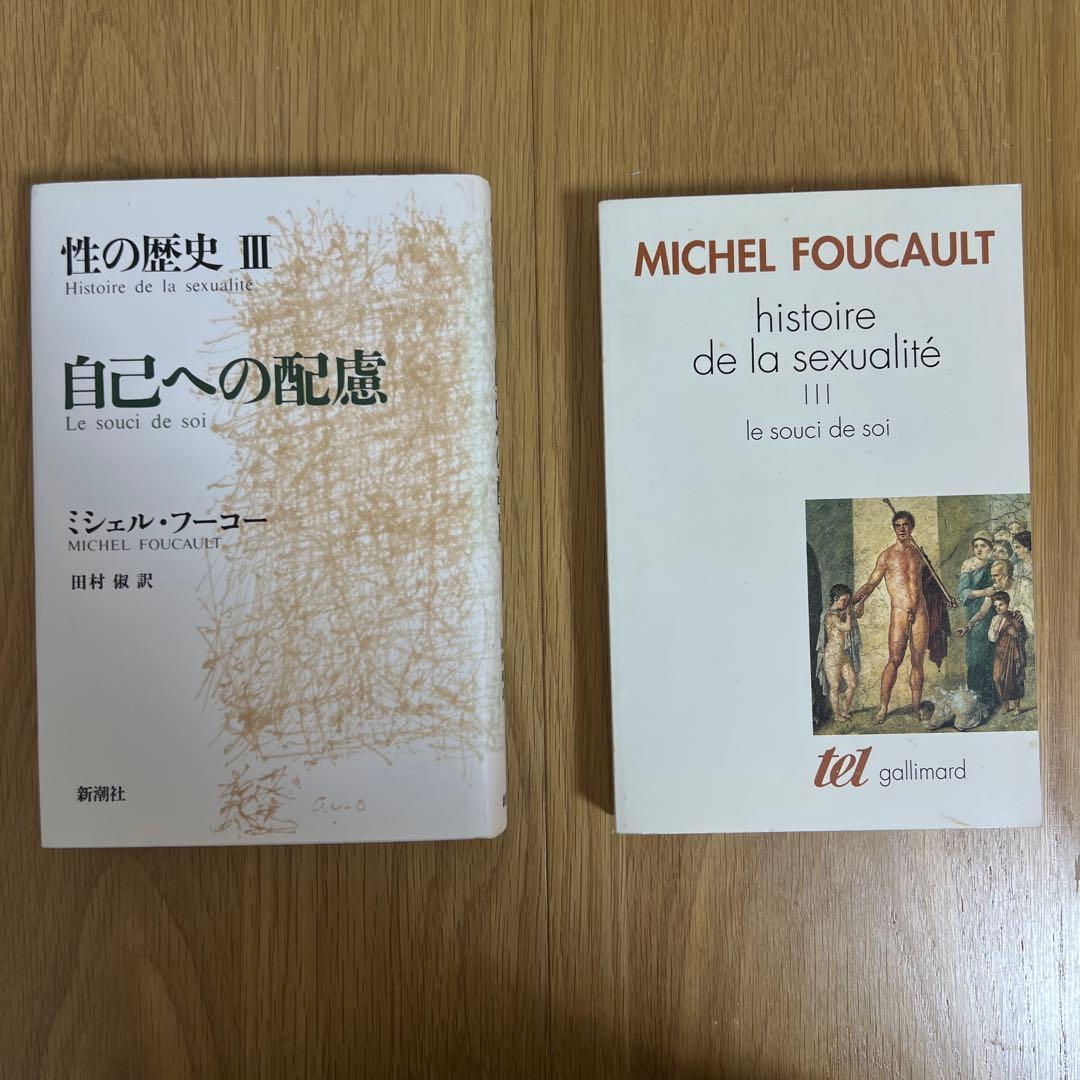 フーコー『性の歴史Ⅳ 肉の告白』などのセット