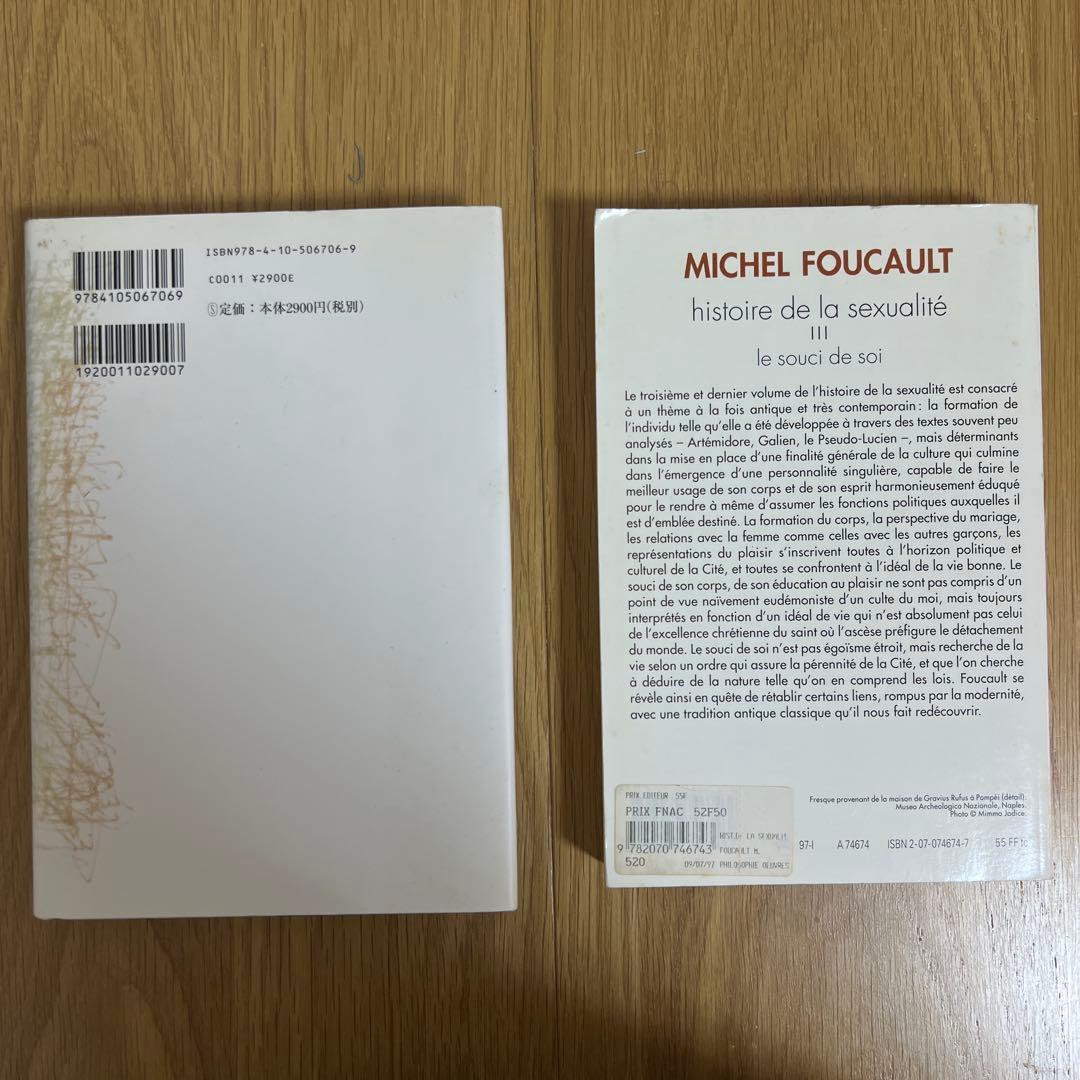 フーコー『性の歴史Ⅳ 肉の告白』などのセット