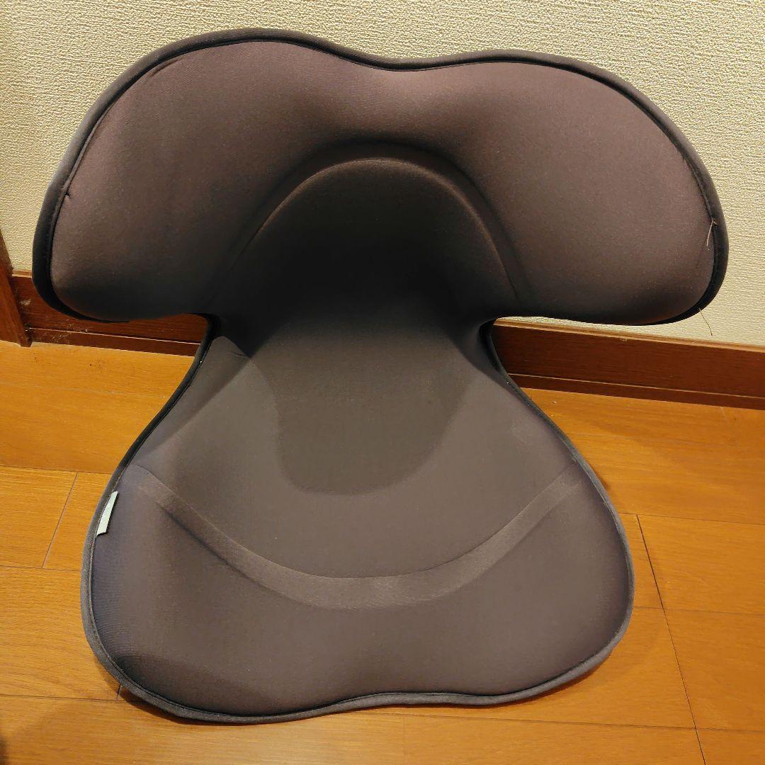 Style　SMART 姿勢 骨盤 テレワーク】スタイルスマート（Style SMART） | MTG ONLINESHOP