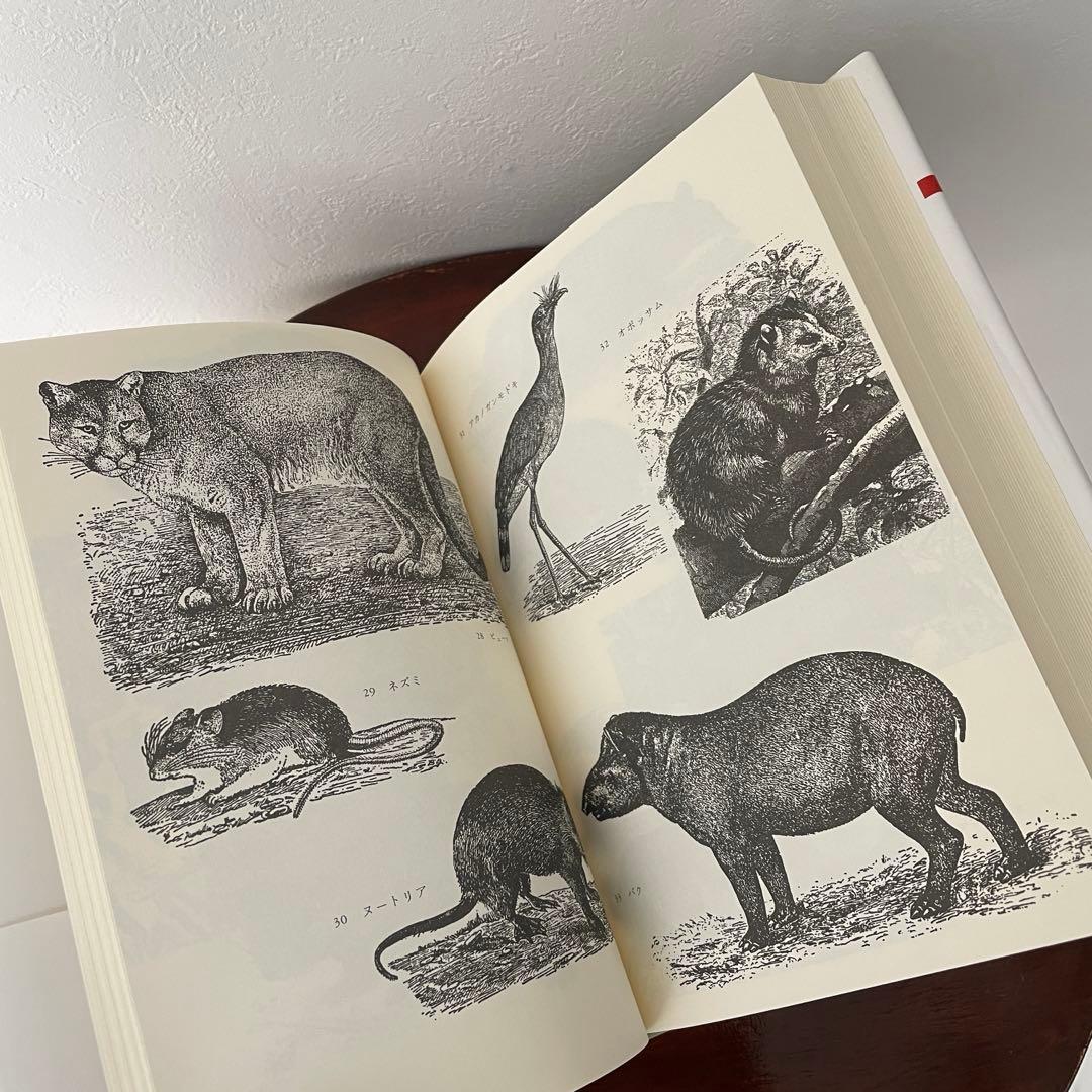 生のものと火を通したもの （神話論理 1）帯つき - メルカリ