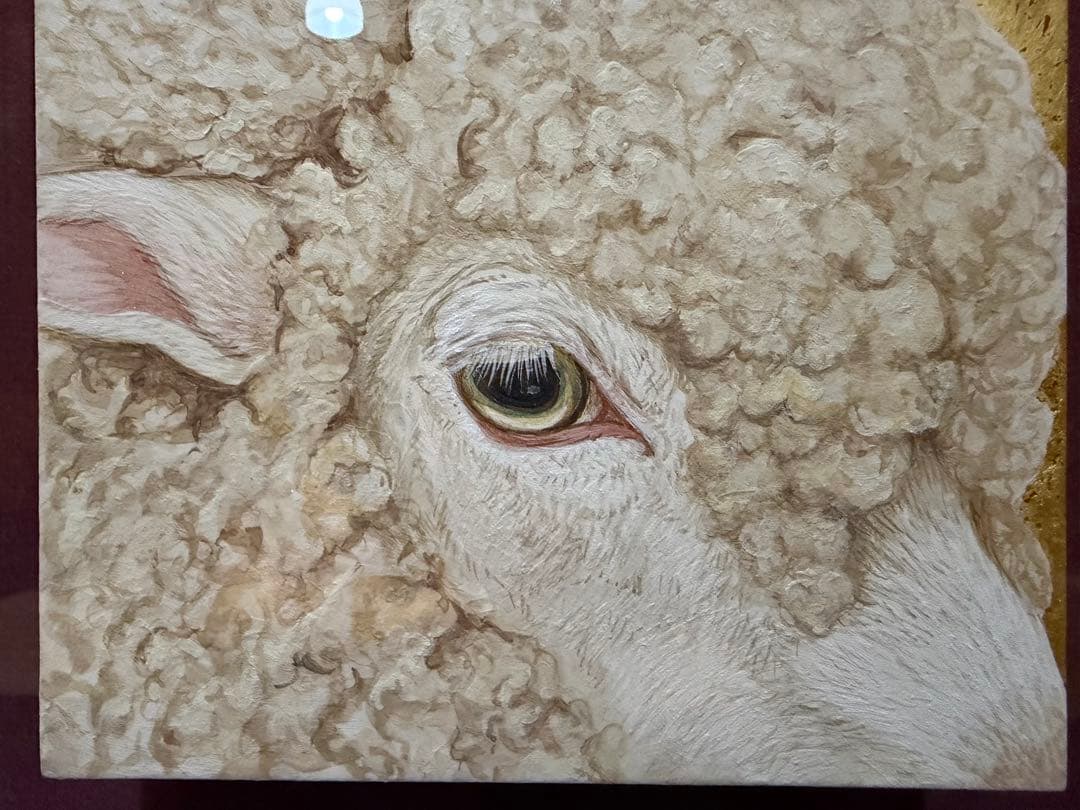 丸山友紀 eyes of sheep 共シール - メルカリ