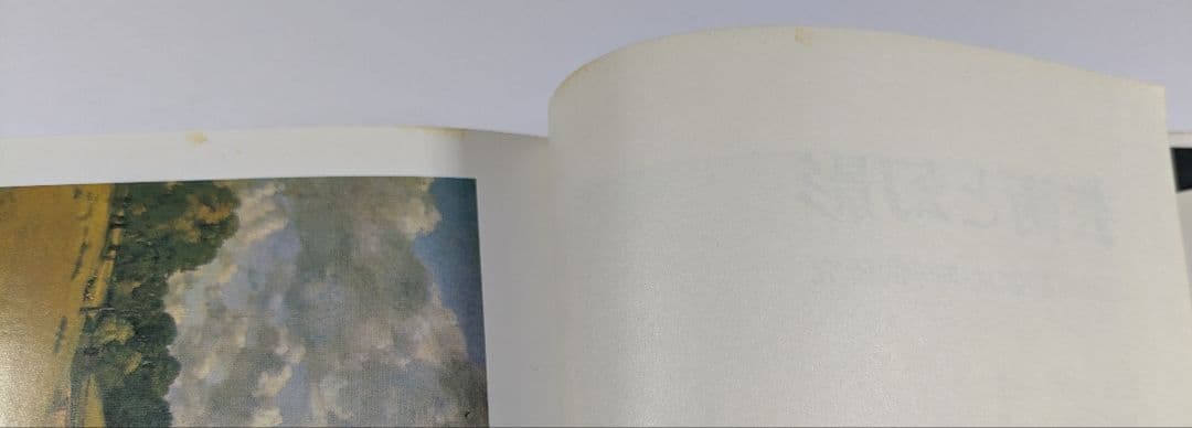 芸術と幻影 E．H．ゴンブリッチ著 瀬戸慶久訳 - メルカリ