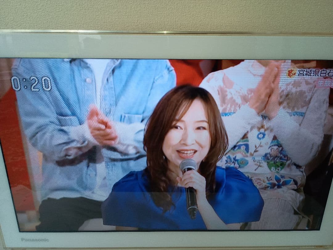 Panasonic プライベートビエラ UN-15T5D UN-T5S リモコン - メルカリ