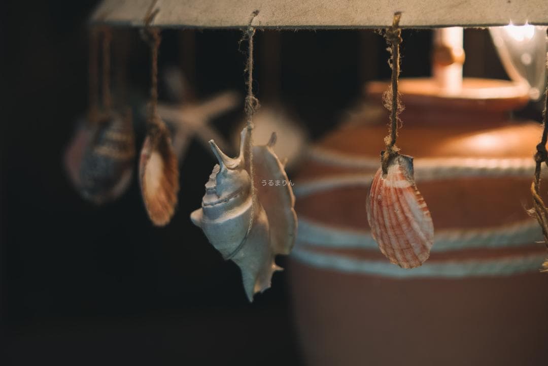 木村文乃使用モデル！Leica Elmarit 90mm F2.8オールドレンズ - メルカリ