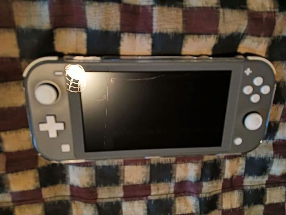 Nintendo Switch Lite グレー 本体　カバー付き 51sD9ag6AGL.jpg_BO30,255,255,