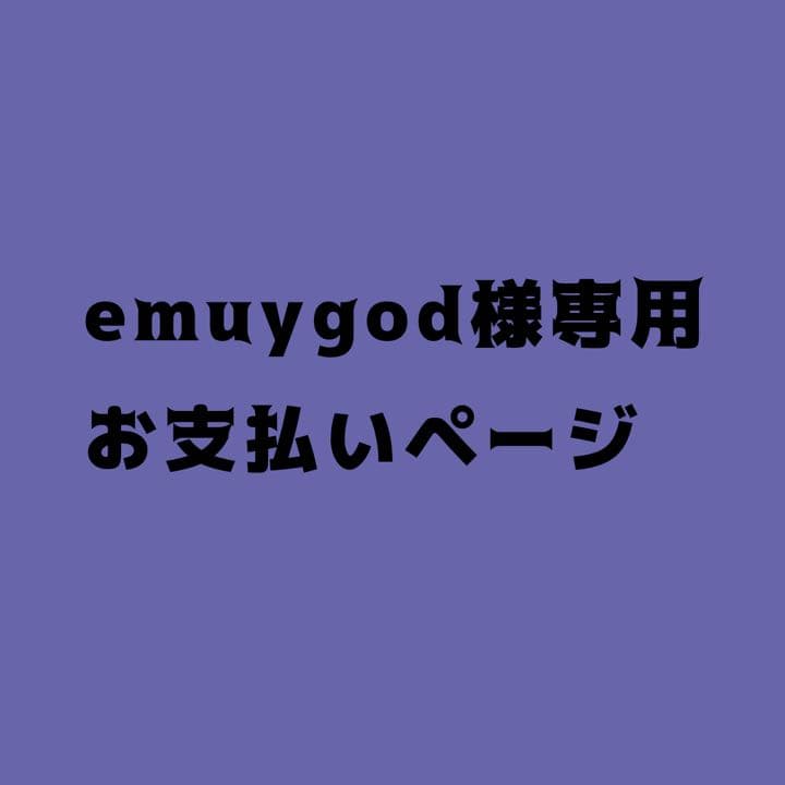 emuygod様、専用 オールマイティ ミズノ 安全靴 スニーカー MIZUNO ALMIGHTY EL 31L
