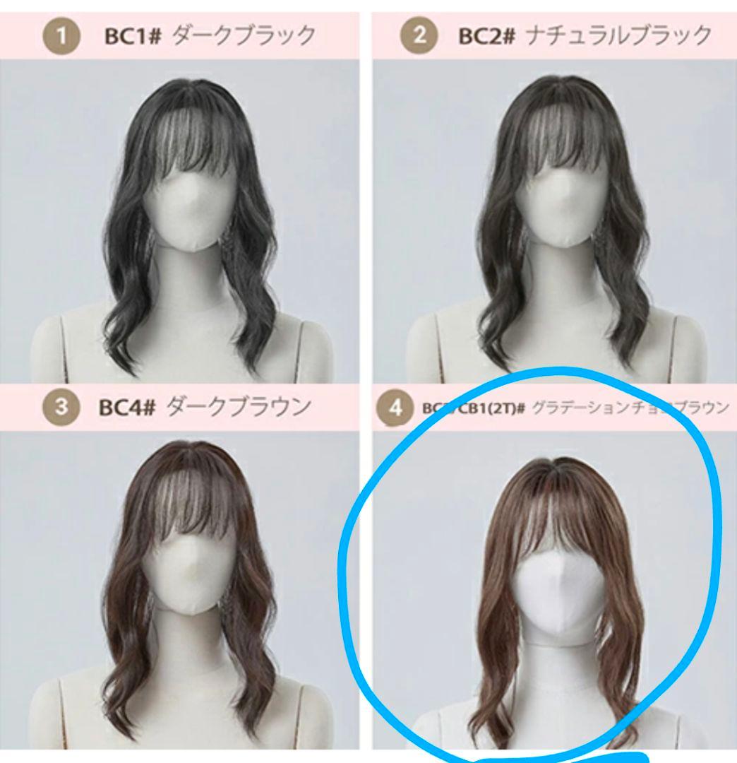 完売品 PINK AGE トップカバー ウィッグ ピンクエイジ チョコブラウン