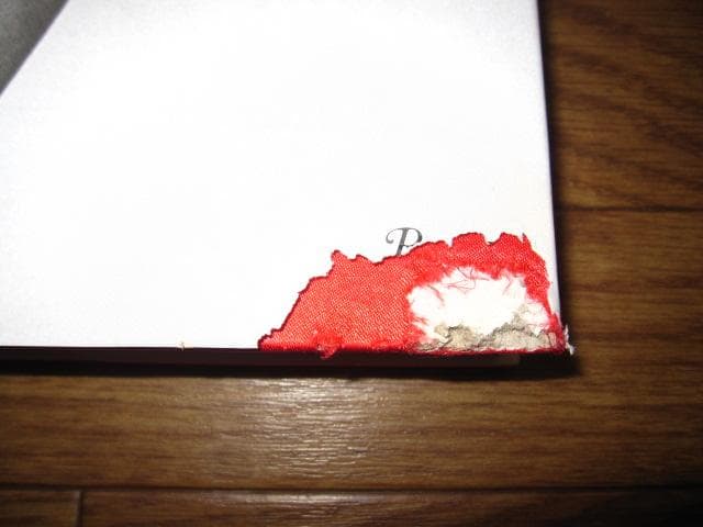 MONICA BELLUCCI　モニカ・ベルッチ　難あり