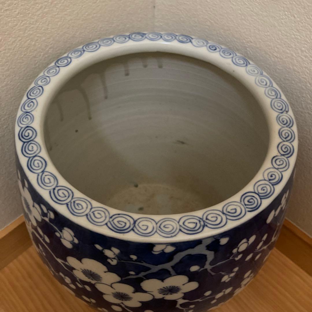 呉須 梅の花 火鉢 磁器 陶器