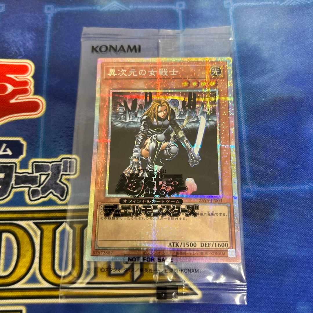 異次元の女戦士 プリズマ
