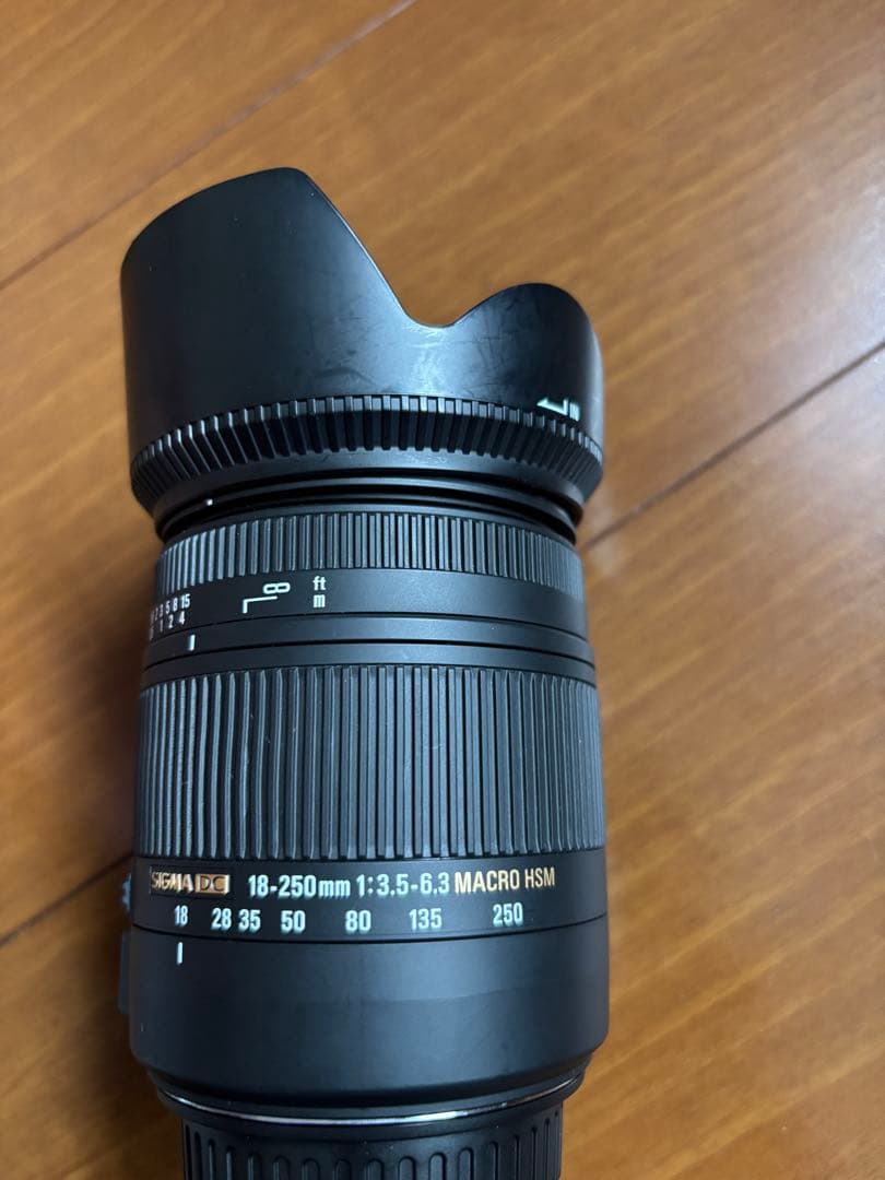 最後SIGMA DC 18-250 mm 1:3.5-6.3 MACRO HSM Sigma 18-250mm f/3.5-6.3 DC OS HSM IF Lens Review