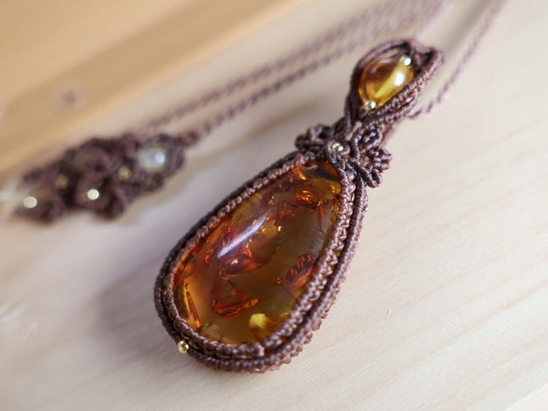 でんちゃん 8/22