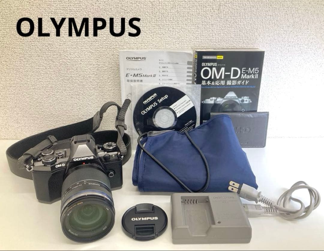 OLYMPUS オリンパスOM-D E-M5II ミラーレス一眼カメラ ブラック オリンパス OLYMPUS OM-D E-M5 Mark II ボディ（ブラック） ミラーレス