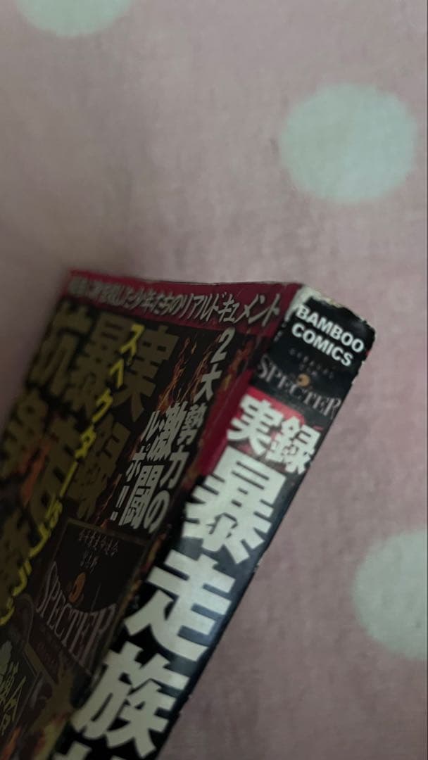 実録 暴走族抗争 スペクターvsブラックエンペラー - メルカリ