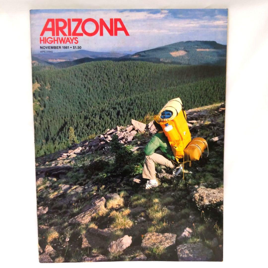 ARIZONA HIGHWAYS 1981年 1年分 アリゾナハイウェイ 洋書 - メルカリ