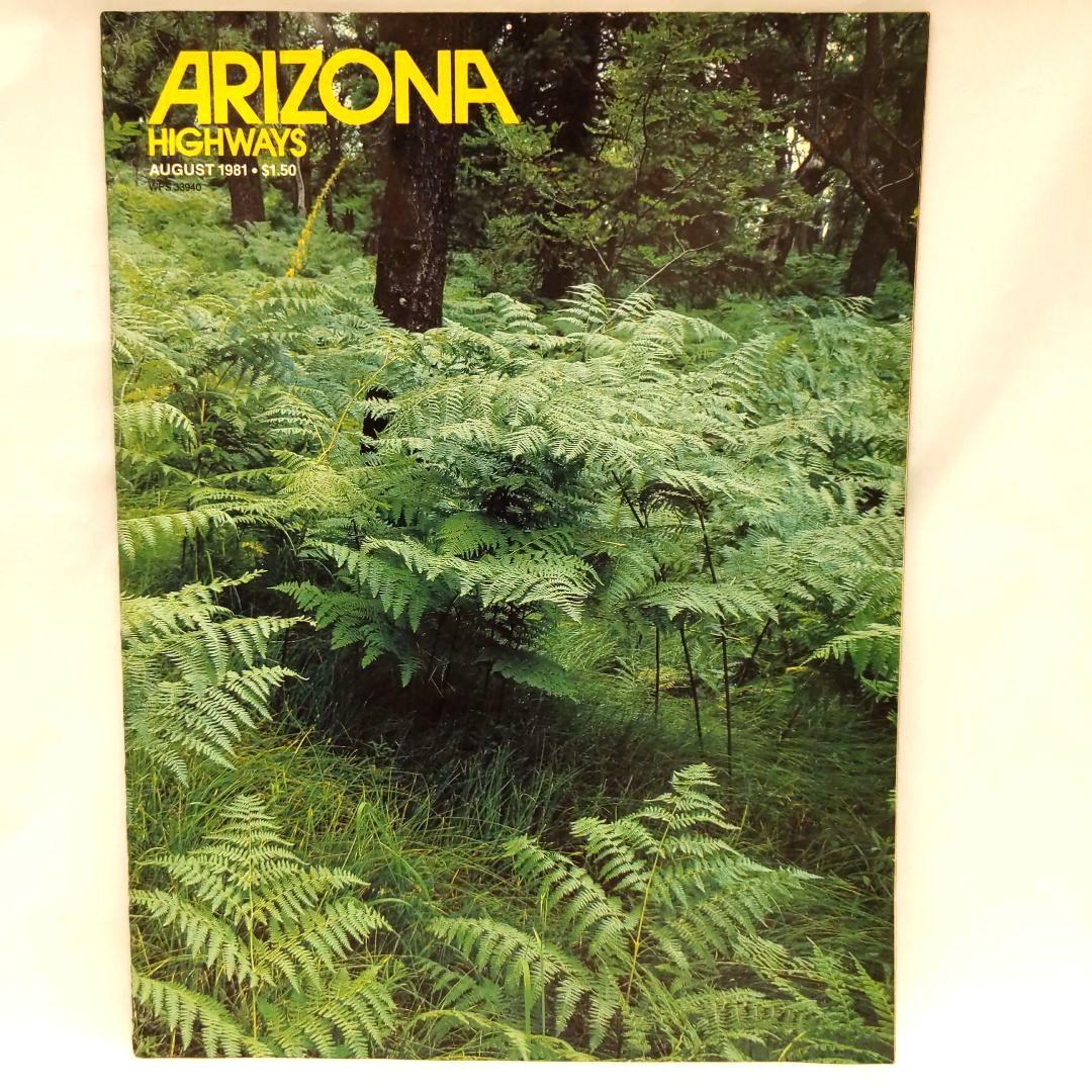 ARIZONA HIGHWAYS 1981年 1年分 アリゾナハイウェイ 洋書 - メルカリ