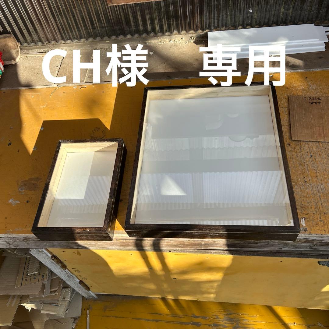 大型　中型標本箱 大型ドイツ型標本箱（黒） : インセクテック・ドット・コム - 通販