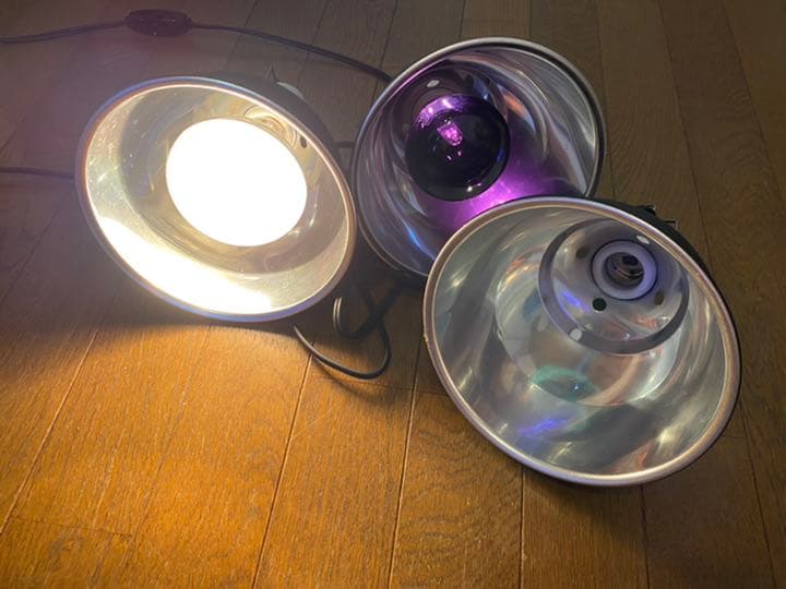 exo terra ライトドーム18cm ソーラーグローUV 80w 2つ EXO TERRA