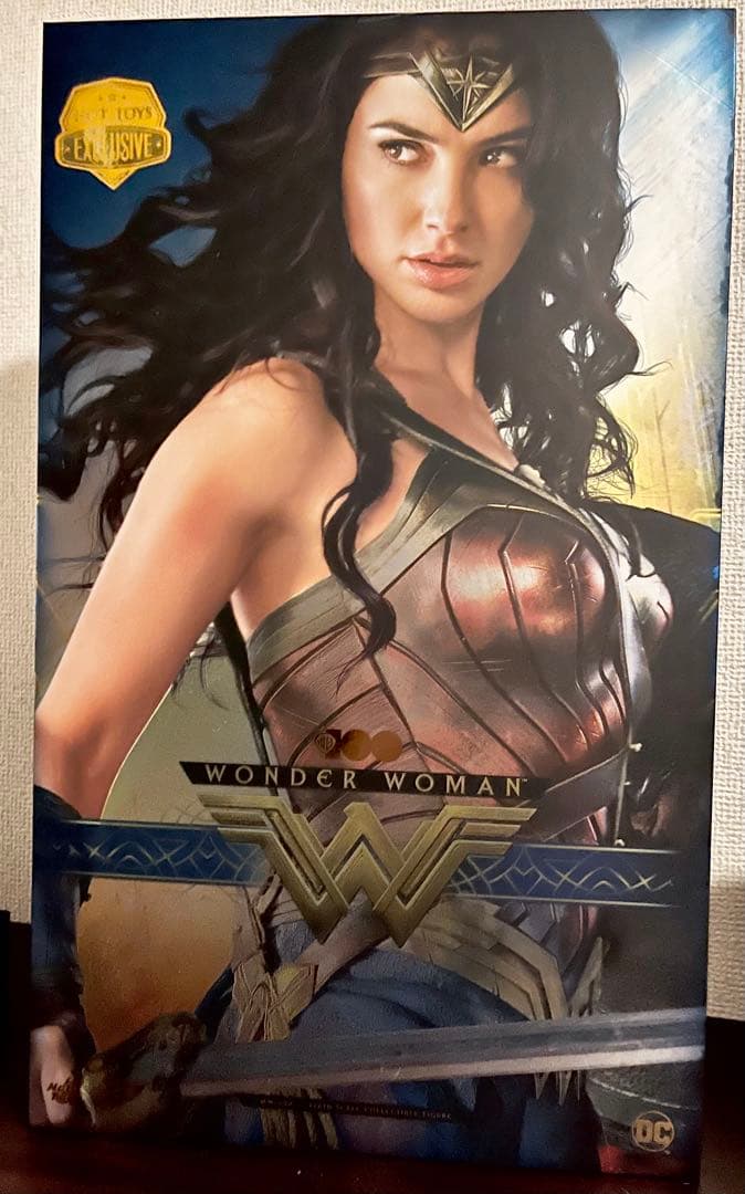 MMS698 ホットトイズ ワンダーウーマン ワーナー100周年 ムービー・マスターピース】『ワーナー・ブラザース100周年』1／6