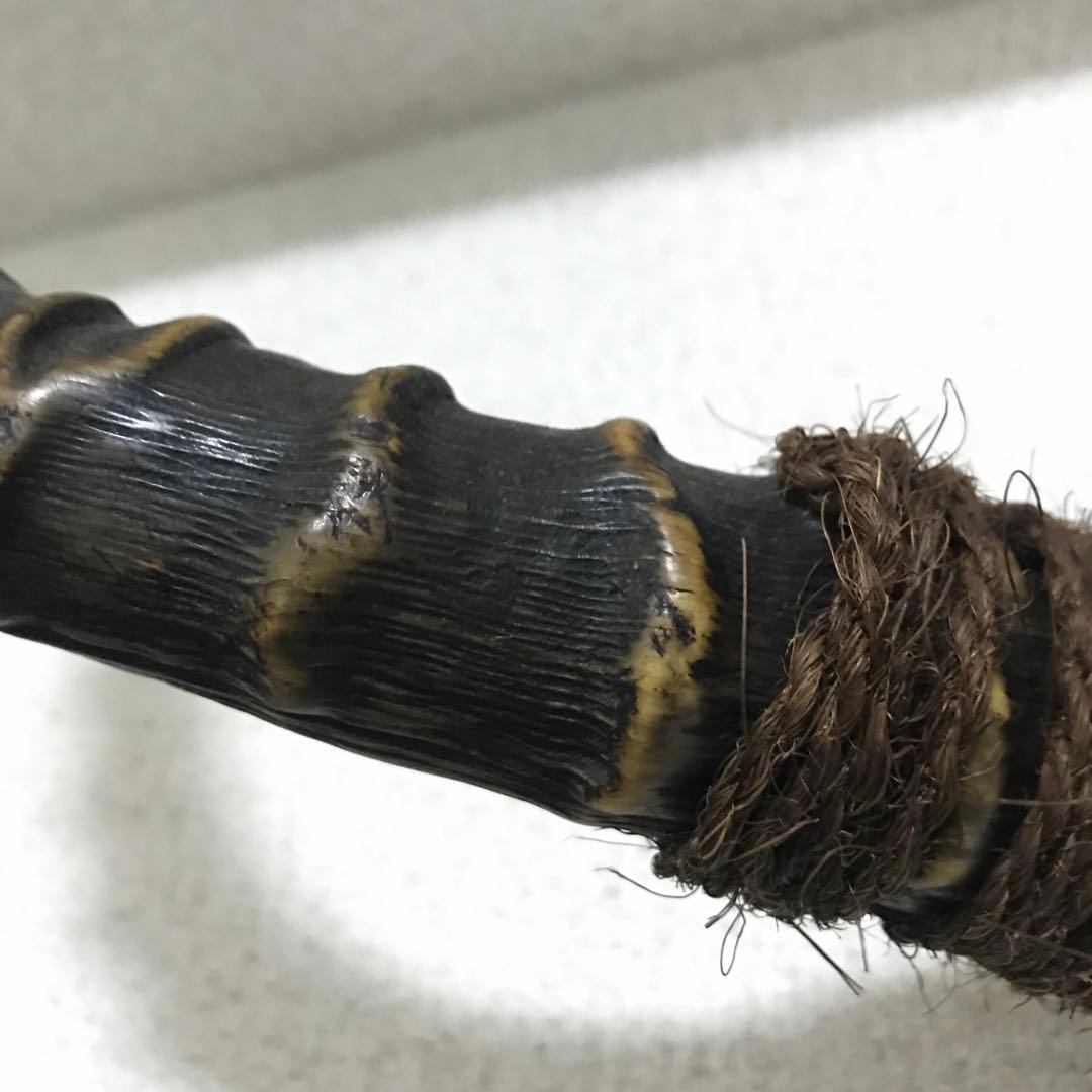 インパラ頭骨ハンティングトロフィー 標本剥製角