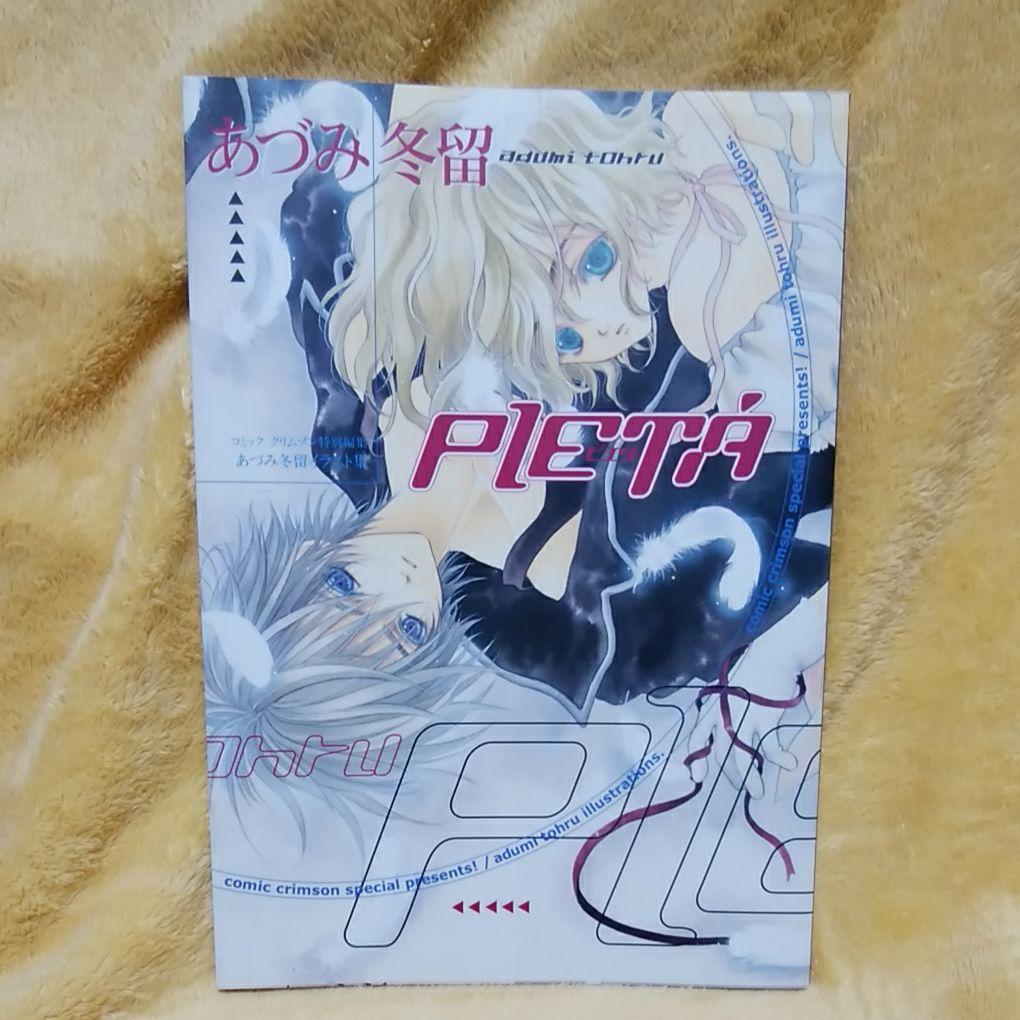 あづみ冬留《PIETA》画集〈2冊セット〉 - メルカリ