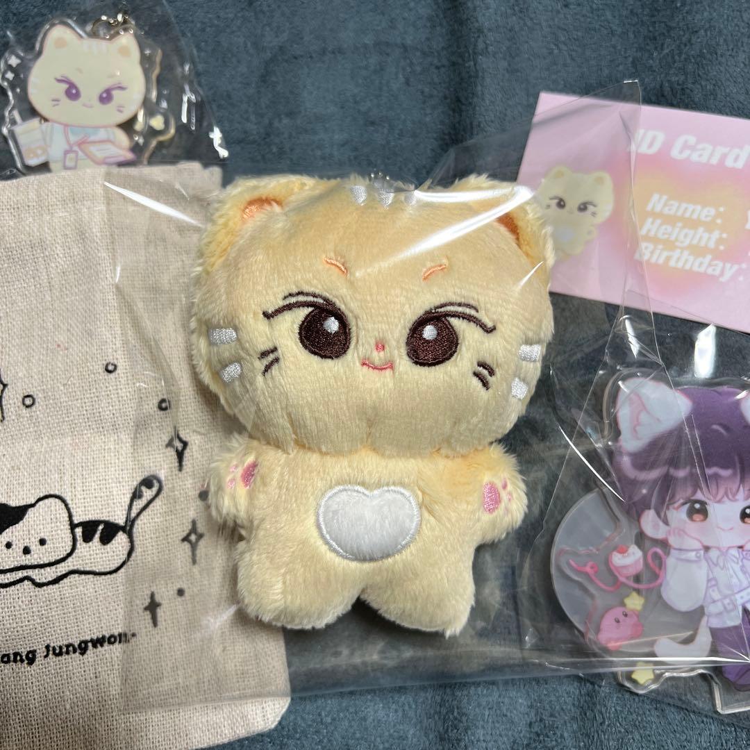 enhypen ジョンウォン ぬいぐるみ 10cm 新品 マスター - メルカリ