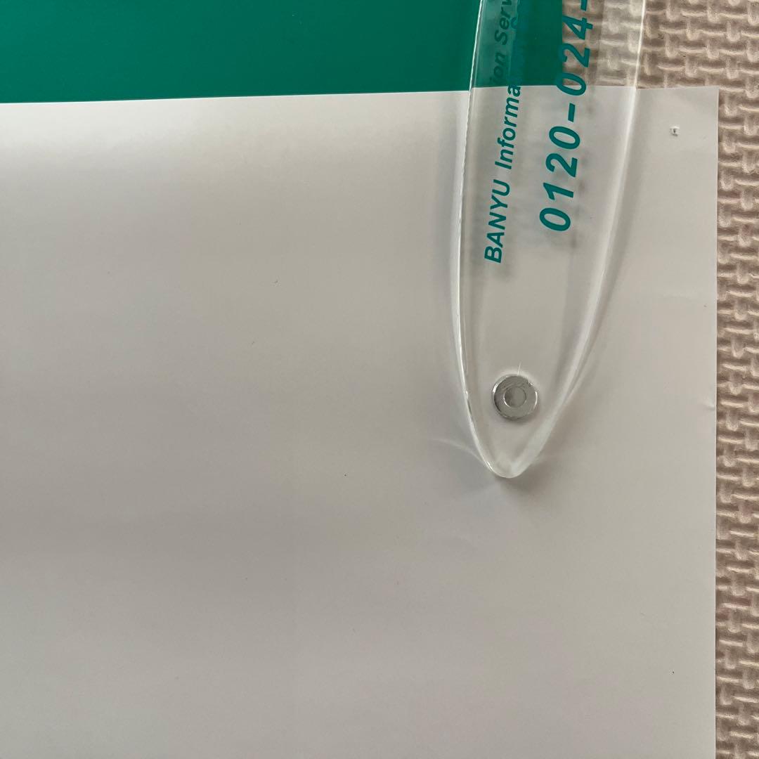 東映 めぞん一刻 B2サイズポスター 高橋留美子 石原真理子 石黒賢