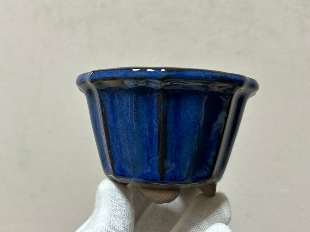 こけむすび
