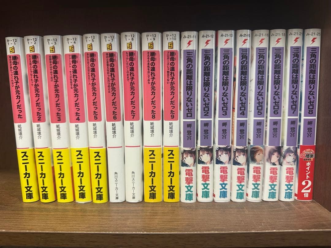 人気ライトノベル まとめ売り（継母の連れ子・千歳くん・たんもし 他）
