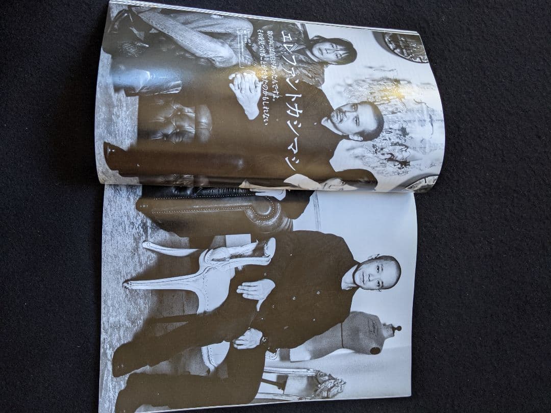 MUSICA くるり 岸田繁 銀杏BOYZ エレファントカシマシ 宮本浩次 - メルカリ