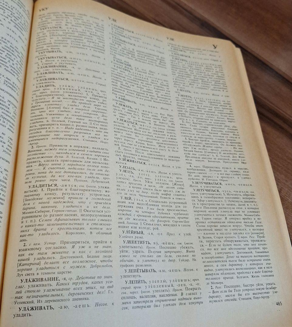 4巻本露露辞典(1981~1984)