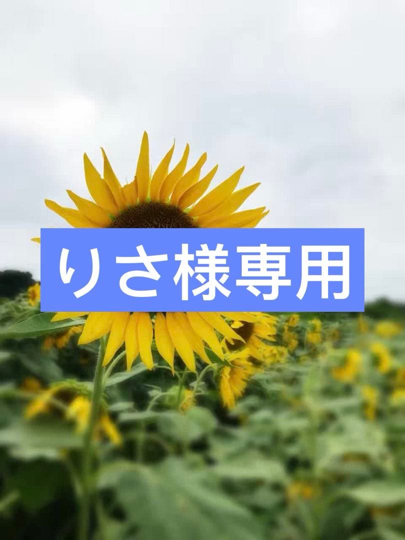 2点まとめ商品　英語絵本 英語 絵本 10冊セット ディズニー ミッキー ズートピア ドリー 仕掛け
