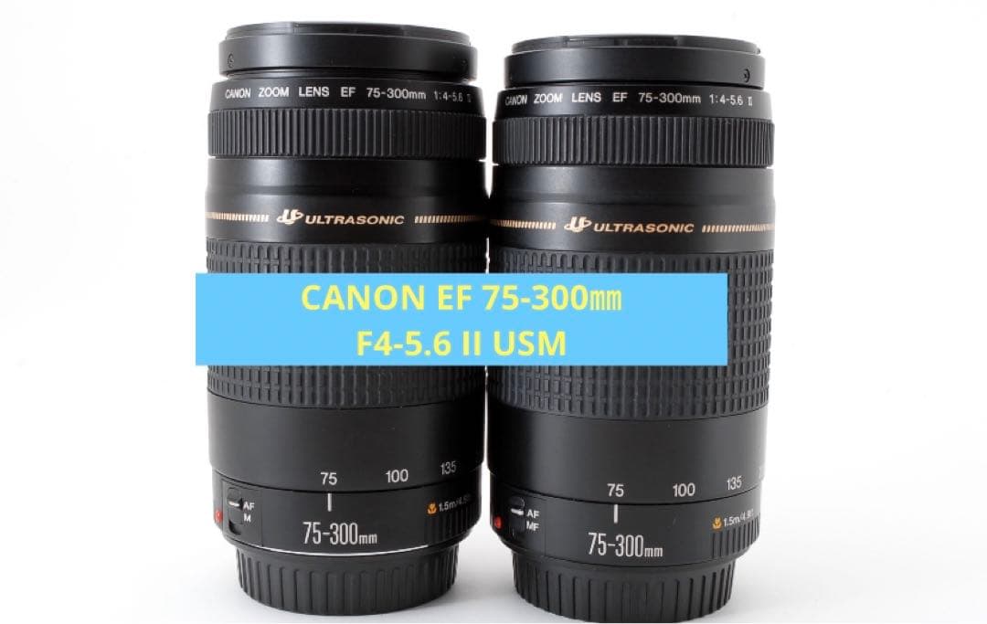2セット） 遠くも撮れる Canon EF75-300 F4-5.6 II