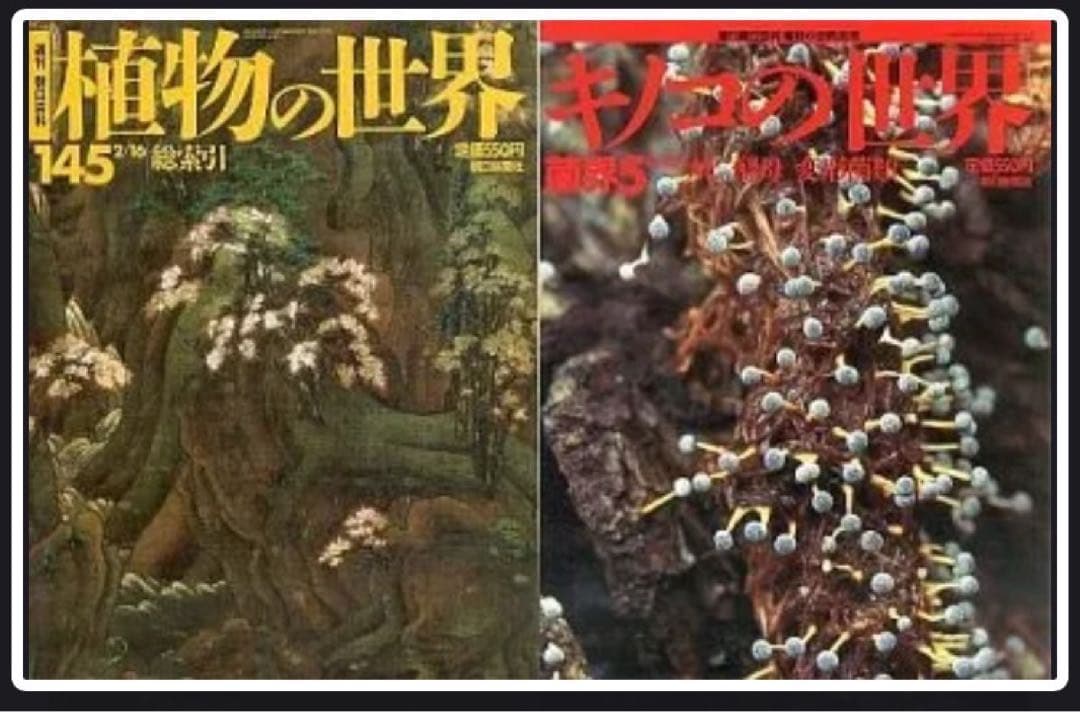 週刊朝日百科 植物の世界 145冊+キノコの世界 5冊 全巻セット Amazon.co.jp: DVD付 きのこ[改訂版] (小学館の図鑑 NEO) : 保坂