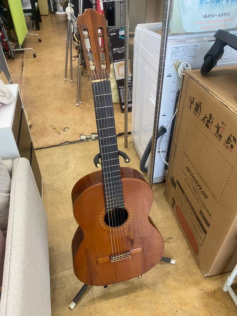 アストリアス　 アコースティックギター　STANDARD 現状 アコースティックギター】ASTURIAS（アストリアス）多数展示中！｜島村