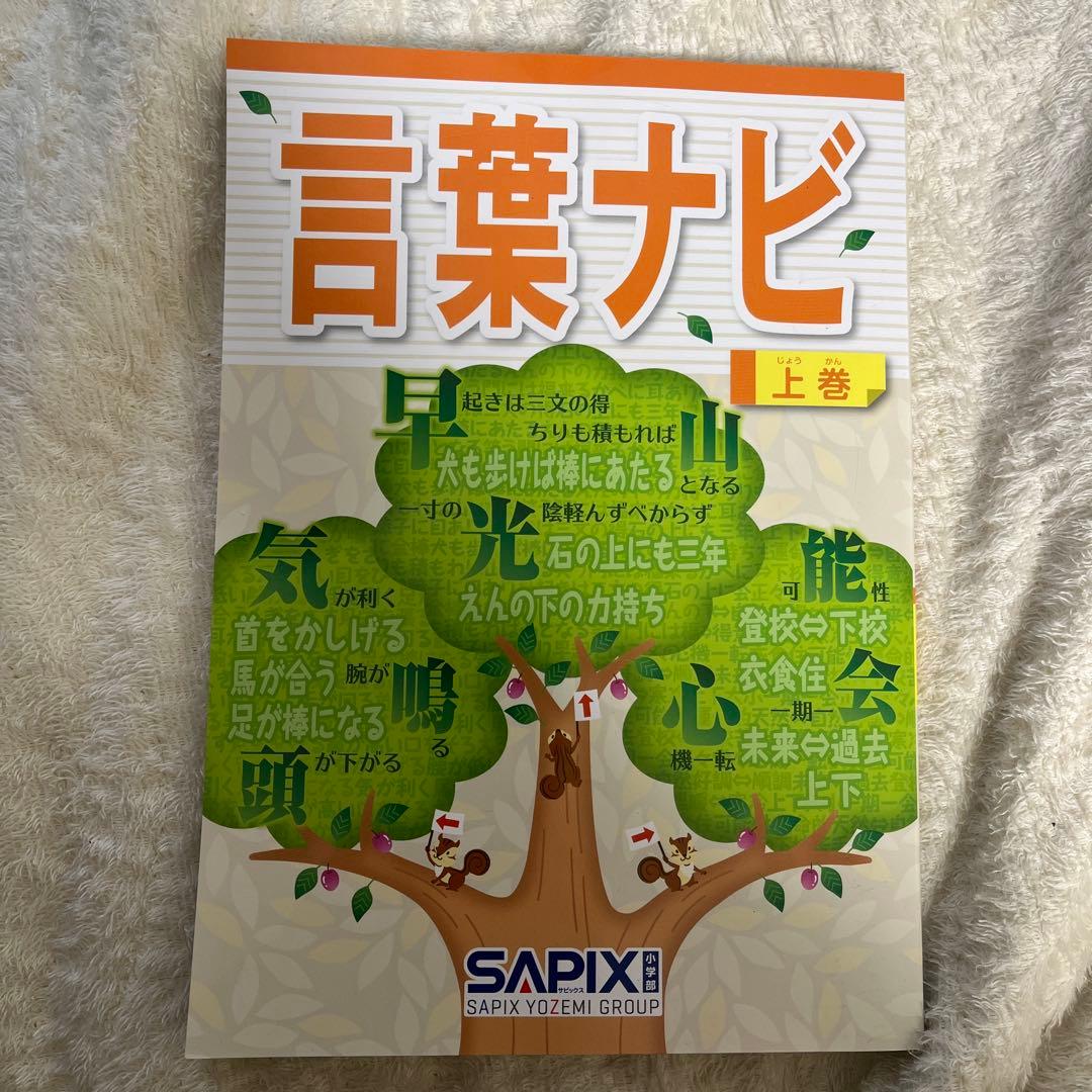 2026年2月購入未使用】SAPIX 言葉ナビ 上巻 - メルカリ