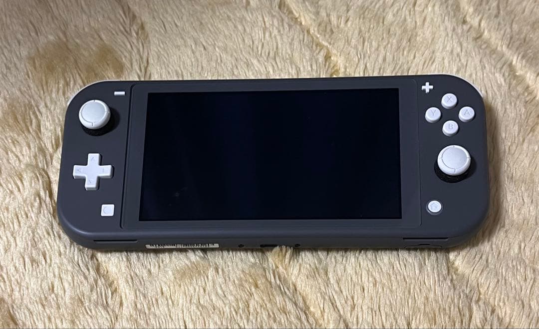 Nintendo Switch Lite グレー キャリングケース付き