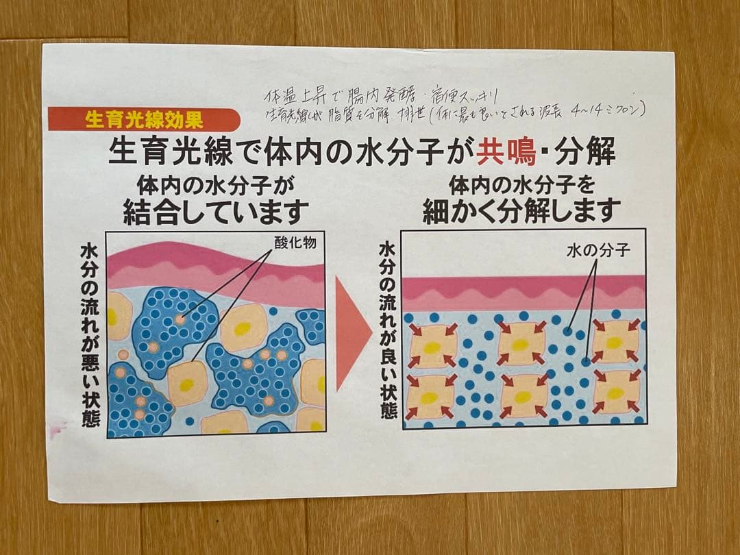 ホルミシスザブティマット 遠赤外線 値下げします！ - メルカリ
