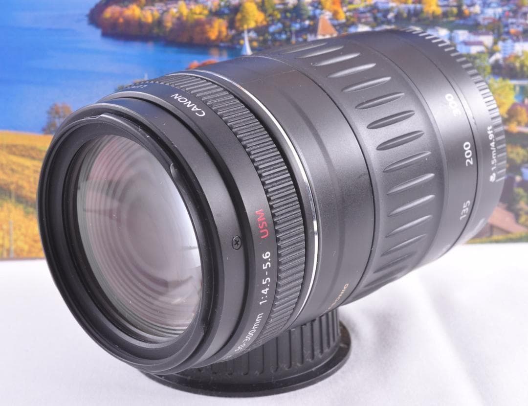 Canon EF 90-300mm USM フード付キヤノン 望遠ズーム 整備済