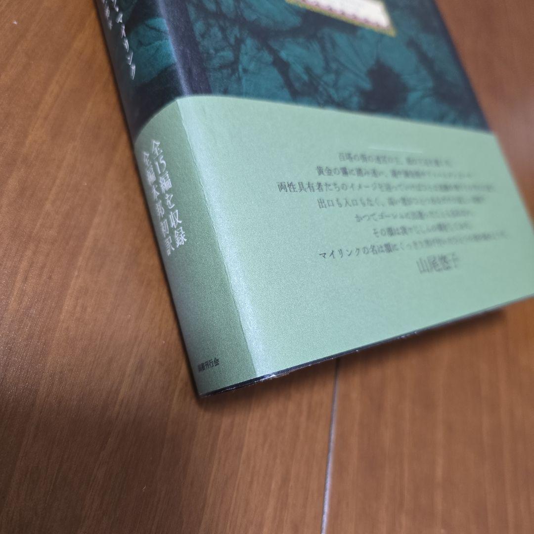 ワルプルギスの夜 マイリンク幻想小説集 国書刊行会 垂野創一郎 - メルカリ