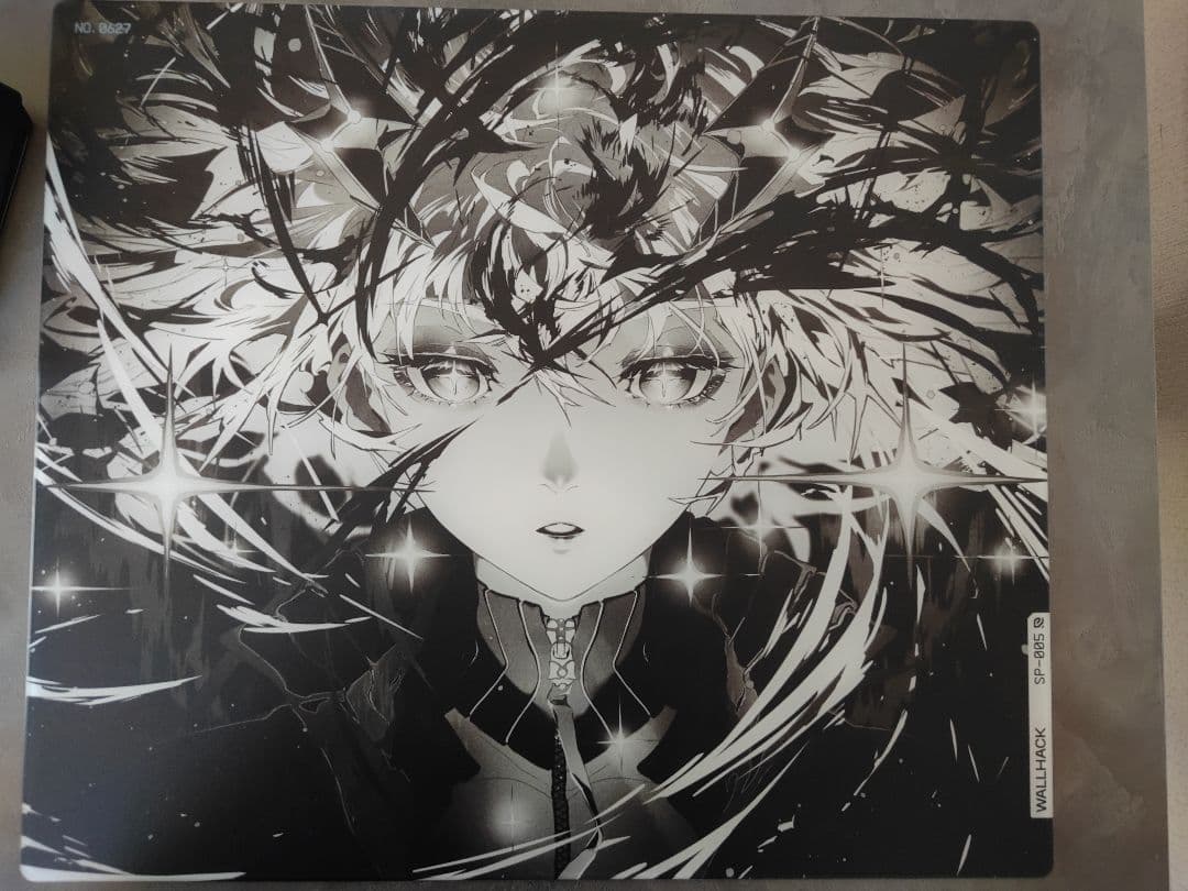 WALLHACK SP-005 限定版 アームカバー付き