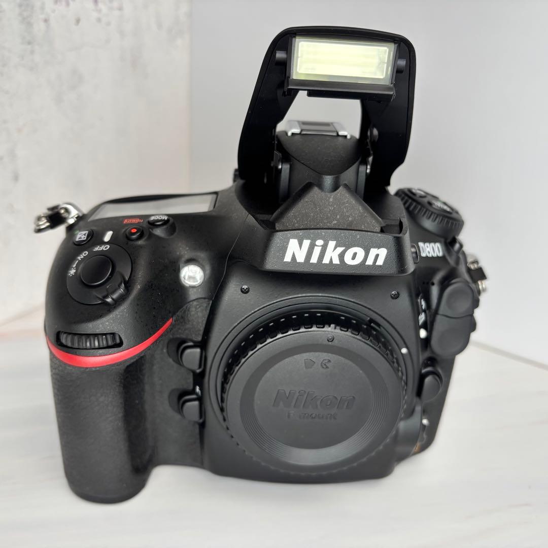 【チョメ山城】Nikon D800 《ショット数2233回》