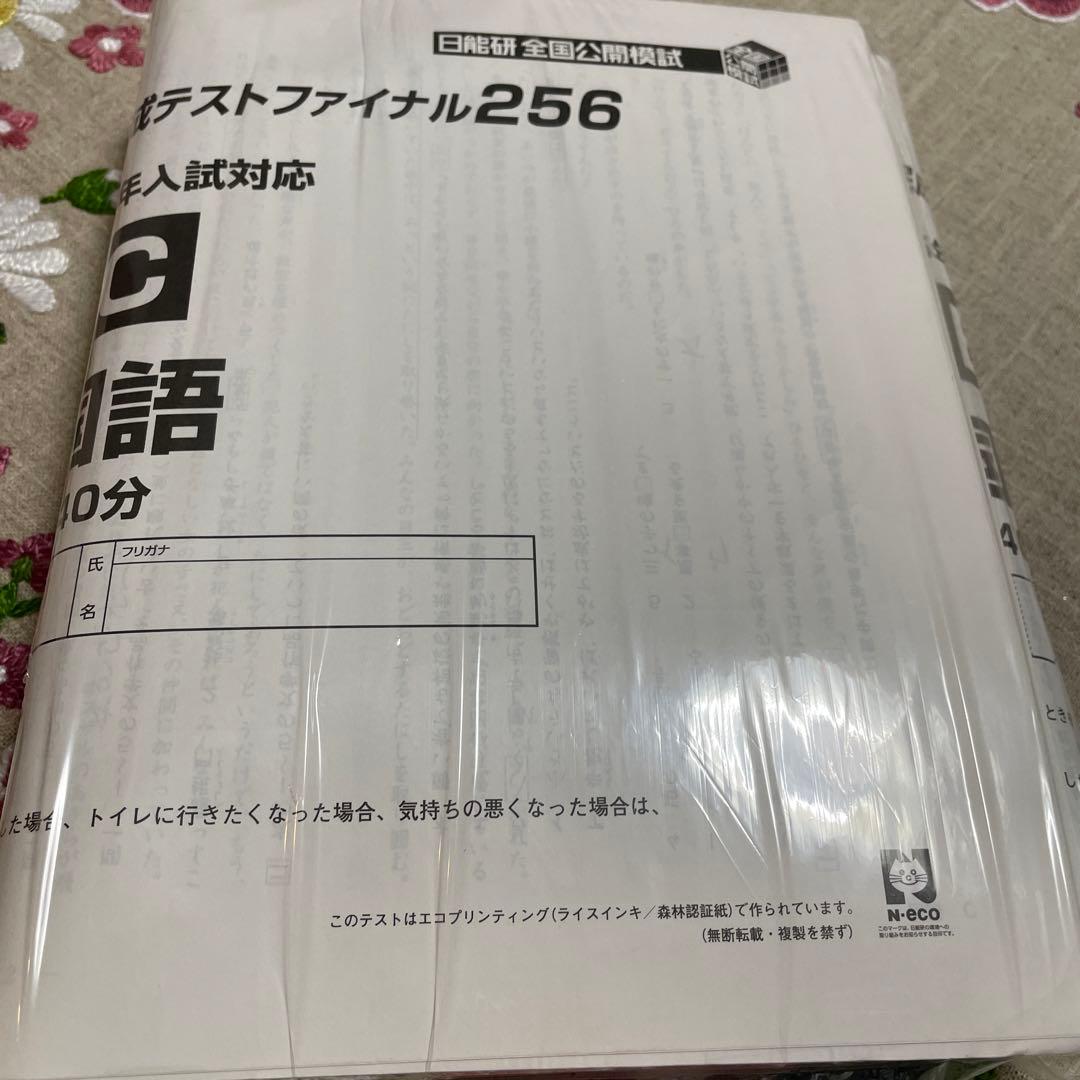 日能研6年 合格力完成テストファイナル256 入試直前実践テスト 最終
