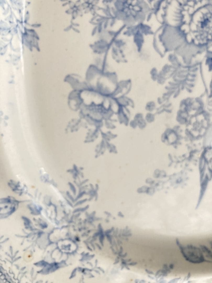 【レア】ヴィクトリアン　アジアティックフェザンツオーバル　大皿　38.5cm