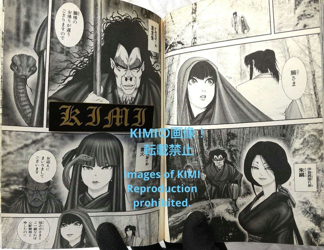 希少 初版 バジリスク 甲賀忍法帖 1 コミック 2003 Basilisk - メルカリ
