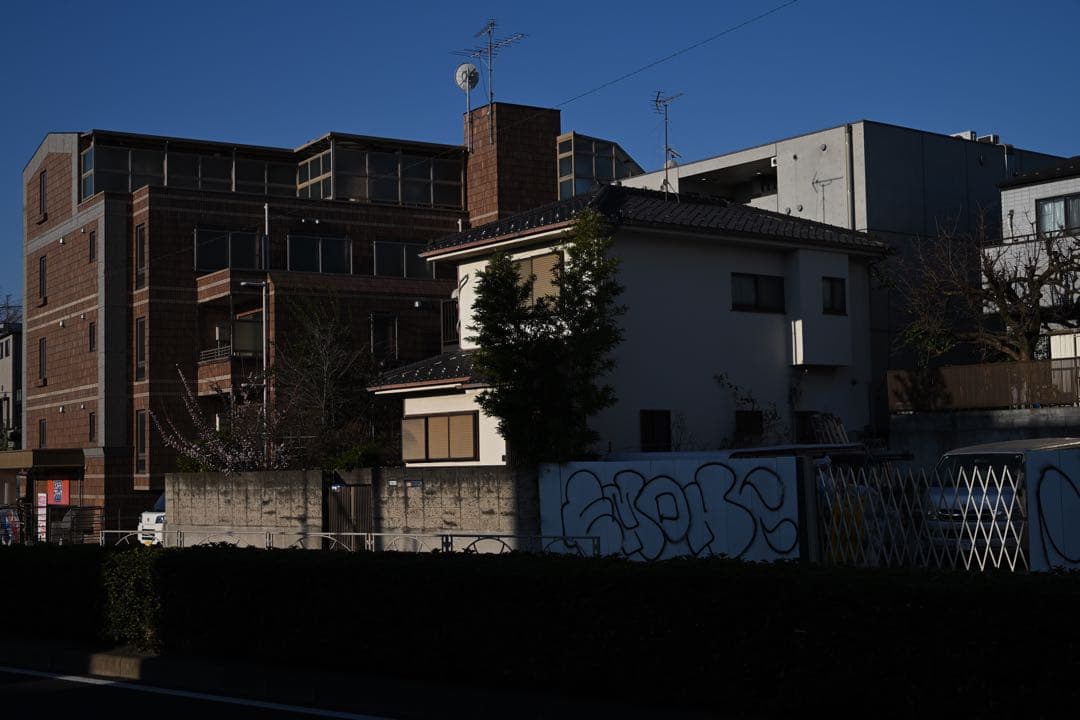 【美品】NIKKOR Z 24-50mm f/4-6.3【純正フード付き】